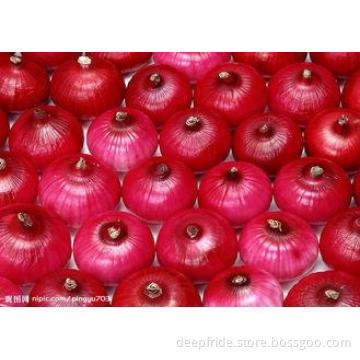 Low Calories Healthy Fresh Red Onion With 10kg / 15kg Mesh
